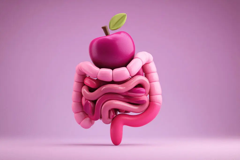 A plum acting as a friendly guide for the digestive system answering the FAQ on are plums good for weight loss A plum acting as a friendly guide for the digestive system answering the FAQ on are plums good for weight loss